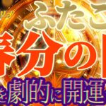 【双子座♊2024運勢】財を引き寄せ！お金が劇的に集まってくるよ！これだけ心掛けてね　【春分の日宇宙元旦】　✡️キャラ別鑑定付き✡️　神々のシナリオシリーズ