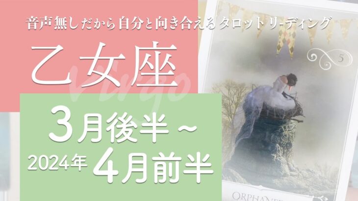 【おとめ座】最強の個・素直な心・ハッキリする★2024年3月後半から4月前半★タロットリーディング【音声なし】【乙女座】