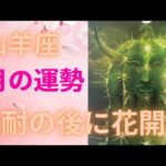 3月の運勢・12星座別・山羊座♑　全体運・仕事運・恋愛運　意識の変化　忍耐の先に花開く🌸