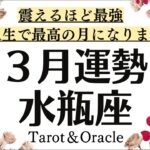 【予祝】水瓶座の人生で最高の3月になります。震えるほど最強&最幸❗️もう何も怖くない。この祝福の宣言をあなたへ送ります。全体運♒️仕事恋愛対人【個人鑑定級タロットヒーリング】