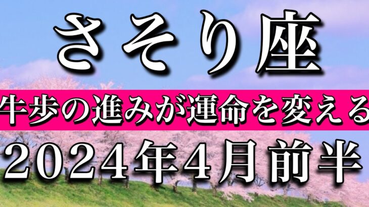 さそり座♏︎2024年4月前半 牛歩の進みが運命を変える　Scorpio tarot reading✴︎April 2024