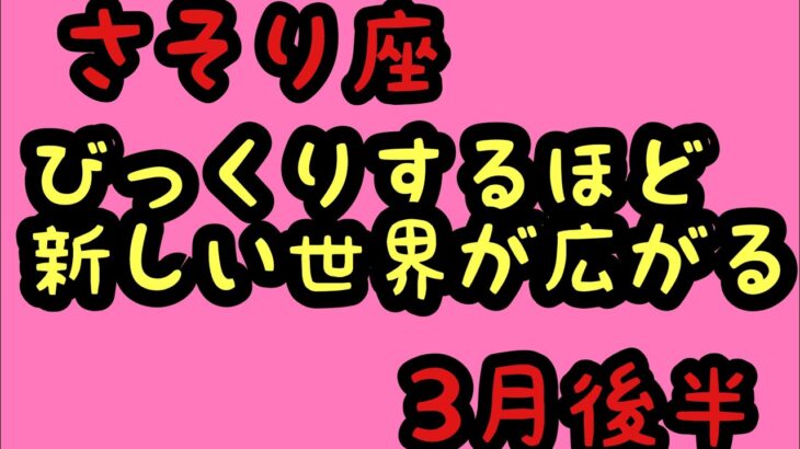 【3月後半の運勢】蠍座　びっくりするほど、新しい世界が広がる🌍超細密✨怖いほど当たるかも知れない😇#星座別#タロットリーディング#蠍座