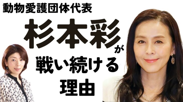 【杉本彩】動物愛護のために戦い続ける彼女の命式は〇〇だった！彼女の宿命に迫る【瑠李先生】