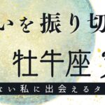 牡牛座 2024年 3月✨絶対見て🎉そのモヤモヤを解決する✨大丈夫、選べるよ！自己対話 タロット占い 自由に質問オラクルカード✨令和六年 三月 おうし座 運勢