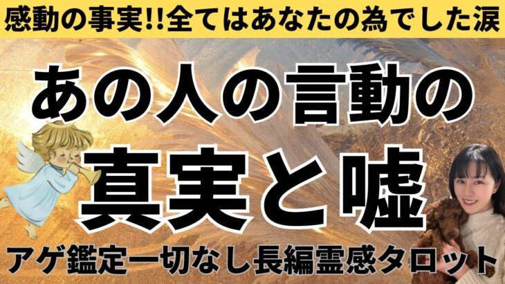 【見た時がタイミング🔔】あの人の言動の真実と嘘💥ツインレイ/ソウルメイト/運命の相手/複雑恋愛/曖昧な関係/復縁/片思い/音信不通/ブロック/未既読スルー/好き避け/恋愛/結婚/占い/リーディング霊視