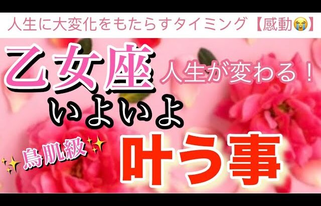 乙女座🦋【もの凄い流れが来る❗️鳥肌級🥹】大変化の予兆⚡️驚愕の結果が連続⚡️いよいよついに叶う事🌈深掘りリーディング#潜在意識#魂の声#開運