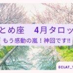 【おとめ座さん】4月🌕タロット前向きリーディング✨号泣‼︎神回‼︎愛と強さと優しさと…全員見てほしい