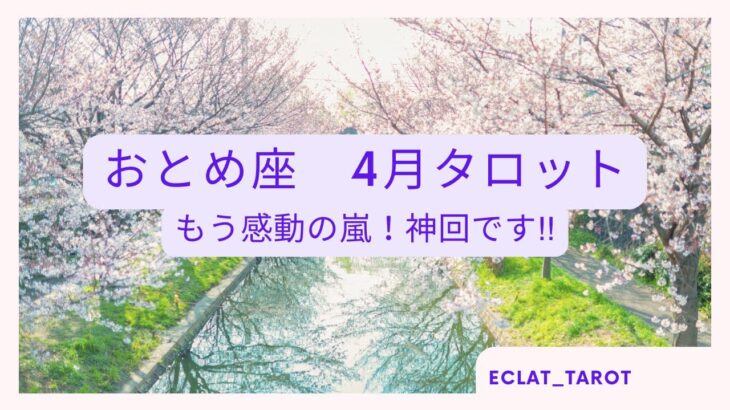 【おとめ座さん】4月🌕タロット前向きリーディング✨号泣‼︎神回‼︎愛と強さと優しさと…全員見てほしい