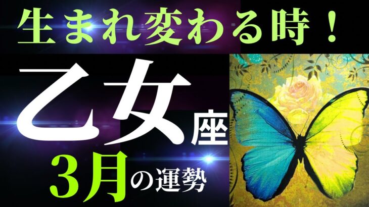 【乙女座3月】「これが理想だ！」と感じる生き方にここからシフトしていく！（タロット&オラクルカードリーディング）