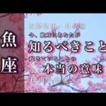 🌙4月♓️魚座🌟吉報。結論が出ます 未来のしあわせを想像して 目を覚ます 実りを迎える🌟しあわせになる力を引きだすタロットセラピー