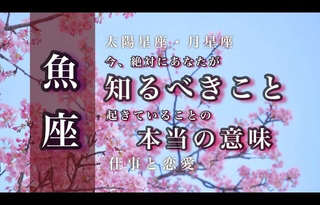 🌙4月♓️魚座🌟吉報。結論が出ます 未来のしあわせを想像して 目を覚ます 実りを迎える🌟しあわせになる力を引きだすタロットセラピー