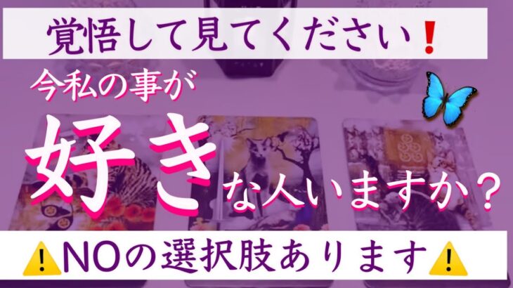 【NOの選択肢あります⚠️】今私の事が好きな人はいますか？タロット、タロット占い、恋愛