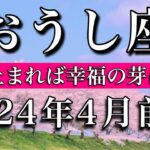 おうし座♉︎2024年4月前半 立ち止まれば幸福の芽は出る Taurus tarot reading✴︎April 2024