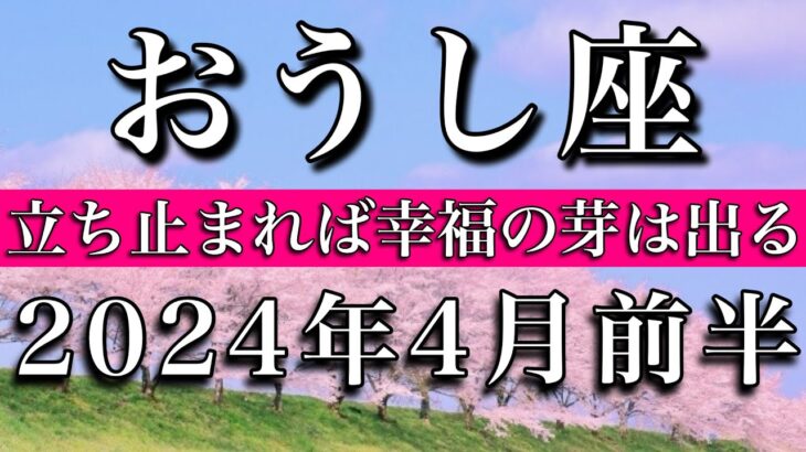 おうし座♉︎2024年4月前半 立ち止まれば幸福の芽は出る Taurus tarot reading✴︎April 2024