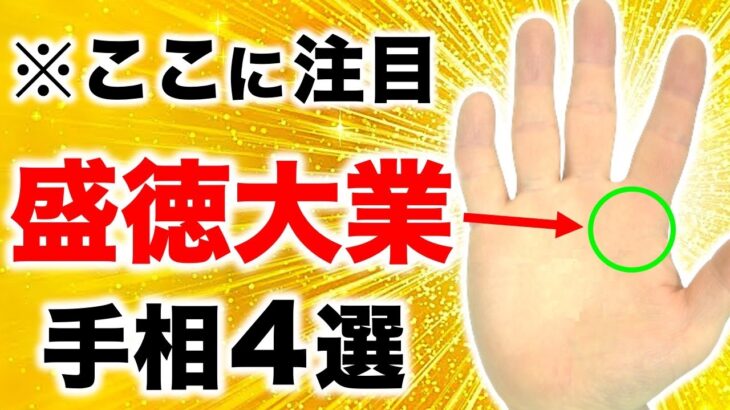 【手相】人差し指下に注目！夢を叶える成徳大業手相４選【美麗勝利線】