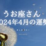 うお座さん 2024年4月の運勢