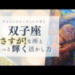 【双子座♯1】パーフェクト人間⁉幸せアピールしちゃってください😊💎【あなたのさすがな所と活かし方】💎タロット＆オラクル💎