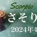 【さそり座】2024年4月♏️ 幕開け！かなり強め！一新スタート、涙が出る愛の贈り物、マンネリの沼からの脱出