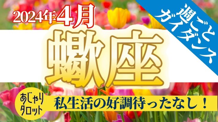 【蠍座4月】あなたを支えるのはプライベートの絶好調🥰🎉家族、友人、パートナーさんとの行事が待ったなしですよ‼️🔮🧚2024タロット&オラクル《週ごと》