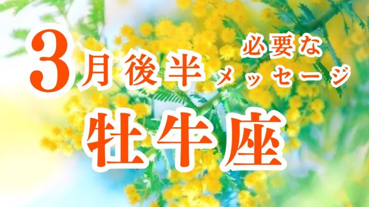 【牡牛座】3月後半の運勢　終わりと始まり🌟流れにのって進むとき　2024年タロット占い