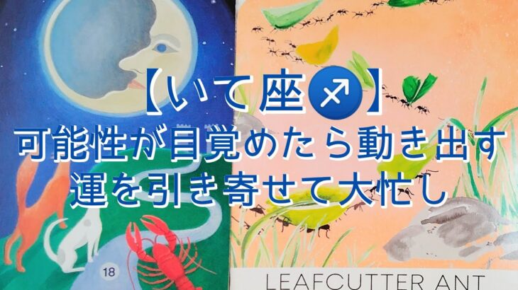 【いて座♐】可能性が目覚めたら動き出す　運を引き寄せて大忙し