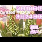 【週間占い】2024年3月18日(月)〜24日(日)