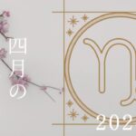 【山羊座さん♑︎】2024年4月の星座リーディング🌸🕊️