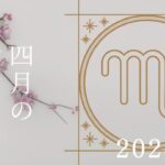 【蠍座さん♏︎】2024年4月の星座リーディング🌸✨