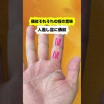俵紋、それぞれの指の意味 #手相 #占い #引き寄せ #金運 #開運 #成功