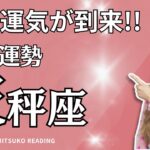 天秤座4月これは凄い❗️今月は楽しみましょう❗️4月運勢仕事恋愛人間関係♎️タロット