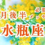 【水瓶座】3月後半の運勢　みずがめ座の独自性がこの世界には必要‼︎　2024年の運勢