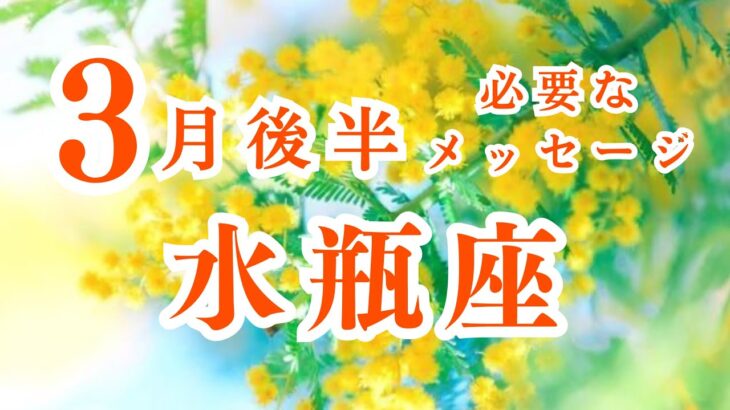 【水瓶座】3月後半の運勢　みずがめ座の独自性がこの世界には必要‼︎　2024年の運勢