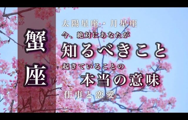 🌙4月♋️蟹座🌟夢が現実になる 混乱の中で見つける本物 これまでの備えに助けられます 🌟しあわせになる力を引きだすタロットセラピー