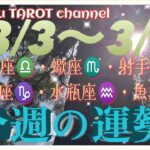 どうなる⁉️【3/3〜3/9週間リーディング】天秤座♎️蠍座♏️射手座♐️山羊座♑️水瓶座♒️魚座♓️#2024 #タロット占い #直感リーディング