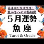 最高としか言えん。築いてきたものがBIGすぎる魚座❗️停滞期を抜け快進‼️ここからが本格始動です。５月起こること・全体運[個人鑑定級タロットヒーリング]