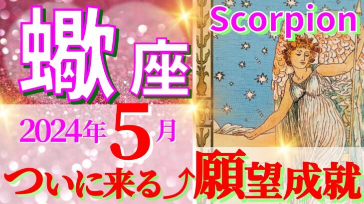 【蠍座♏】2024年5月🌈スランプを抜け調和が訪れます🌟情熱が溢れてきます🦄【恋愛 仕事 人間関係】【星占い タロット占い 蠍座 さそり座】【2024年　5月】