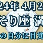 【占星術】2024年4月24日さそり座満月♏超重要！「感情」の扱い方😀✨