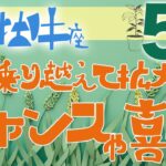 【牡牛座】2024年5月前半の運勢♉️〝壁を乗り越えて拡大していくチャンスや喜び‼️自分の力に自信を持つことがポイント⭐️〟仕事・人間関係のタロットリーディング🔮