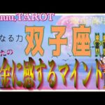 双子座♊️さん【蠍座満月🌕あなたのお金に感するマインドとは⁉️】状況が変化して流れが変わる🦋#2024 #タロット占い #直感リーディング