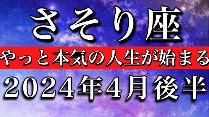 さそり座♏︎2024年4月後半 やっと本気の人生が始まる　Scorpio tarot reading✴︎April 2024