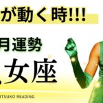 乙女座5月は運命が動く時です❗️必見の回めっちゃ良いメッセージ来てる❗️5月運勢仕事恋愛人間関係♍️タロット