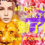 獅子座♌️クリアになることがある😳❣️全体像を見ることがキーポイント😉✨4月後半あなたに起こること✨お仕事・恋愛・人間関係