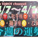 新生活🌸【4/7〜4/13週間リーディング】牡羊座♈️牡牛座♉️双子座♊️蟹座♋️獅子座♌️乙女座♍️#2024 #タロット占い #直感リーディング