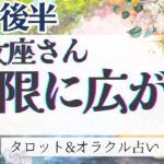 【乙女座】見逃し注意‼︎ 仕事･対人運大吉‼︎ 想像以上の嬉しい展開あり🦋✨【仕事運/対人運/家庭運/恋愛運/全体運】4月運勢  タロット占い