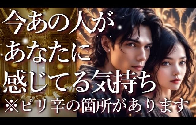 ⚠️※一部ピリッとくる箇所あり⚠️今あの人があなたに感じている気持ち😎💖占い💖恋愛・片思い・復縁・複雑恋愛・好きな人・疎遠・タロット・オラクルカード