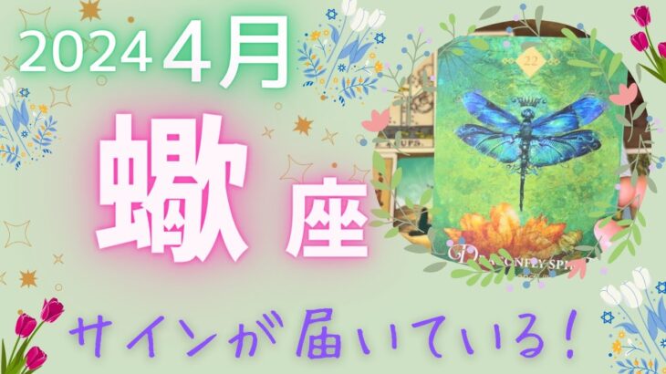 【蠍座♏️】2024年4月運勢🌷意外なところからやってくるサイン⁈🌈これだ！と思ったら動く時🦋新しい世界が待っています✨