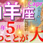 【山羊座♑】2024年5月🌈少しの辛抱で道が開けます🌟とにかく楽しく直感を信じて🦄【恋愛 仕事 人間関係】【星占い タロット占い 山羊座 やぎ座】【2024年　5月】