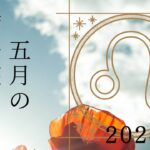 【獅子座さん♌︎】2024年5月の星座リーディング🌸🕊️