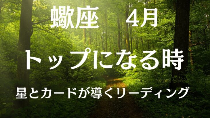 蠍座さん❗️いよいよあなたがトップに昇り詰める時がやって来たよ❗️