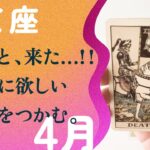 改革おめでとう！！！愛に突き動かされる1ヶ月。【4月の運勢　いて座】